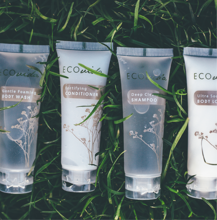 EcoVida Master Image