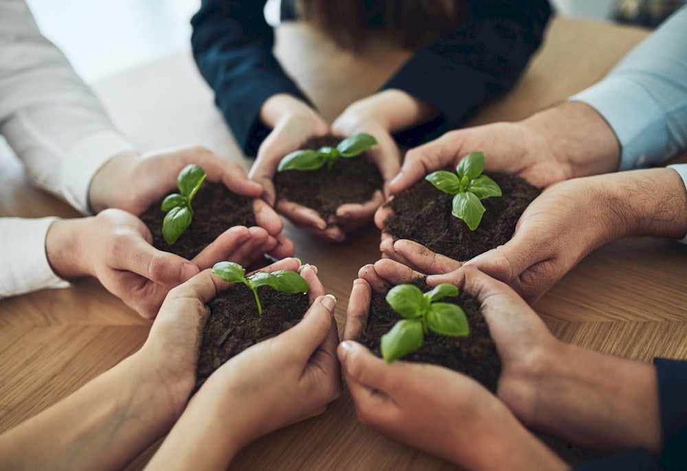 Bringing Hotel Staff Into the Important Sustainability Conversation