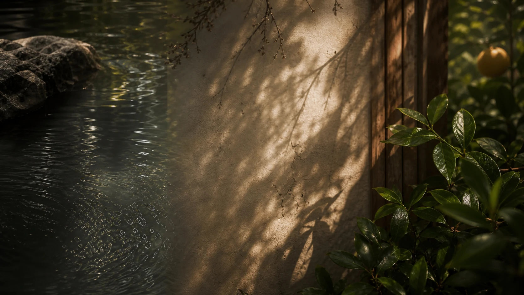 Water, warm mineral textures, wood and green botanicals in filtered light